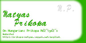 matyas prikopa business card